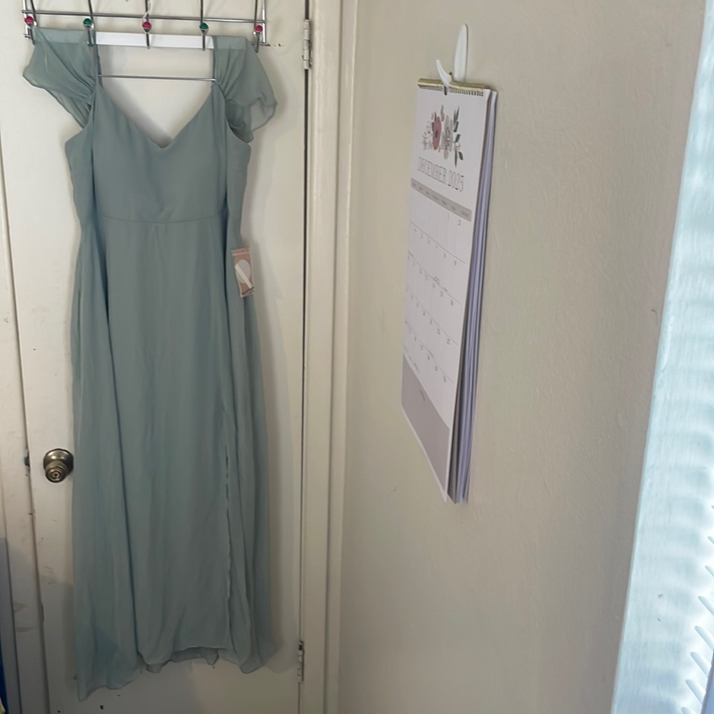 Brand New Birdy Grey Sage Devin Chiffon Dress